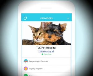Use Pet Desk App